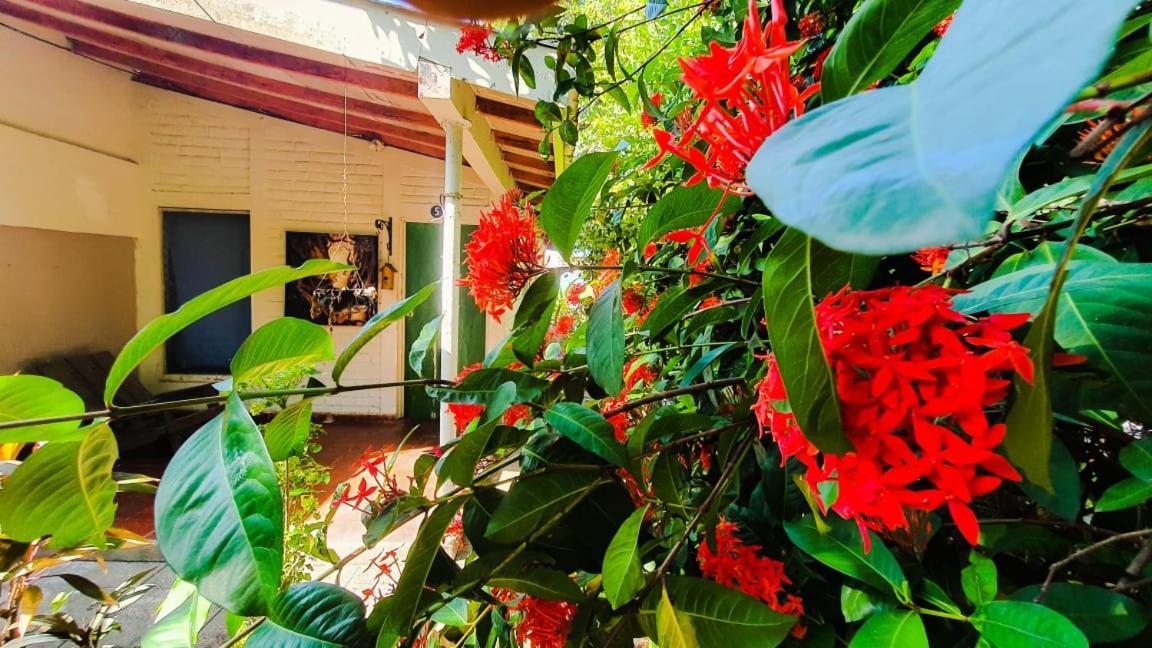 Hostal Club Mochilero Ла-Либертад Экстерьер фото